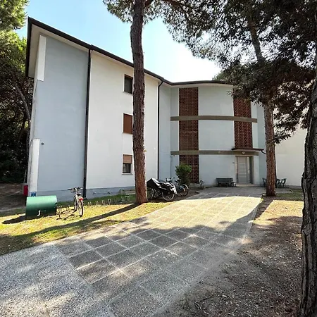 Pineta Immersi Nel
